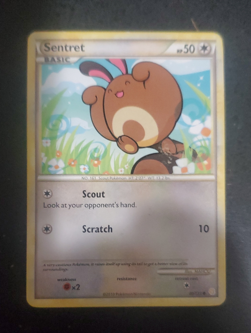 Pokemon Sentret Card - Brown, Yellow, Blue